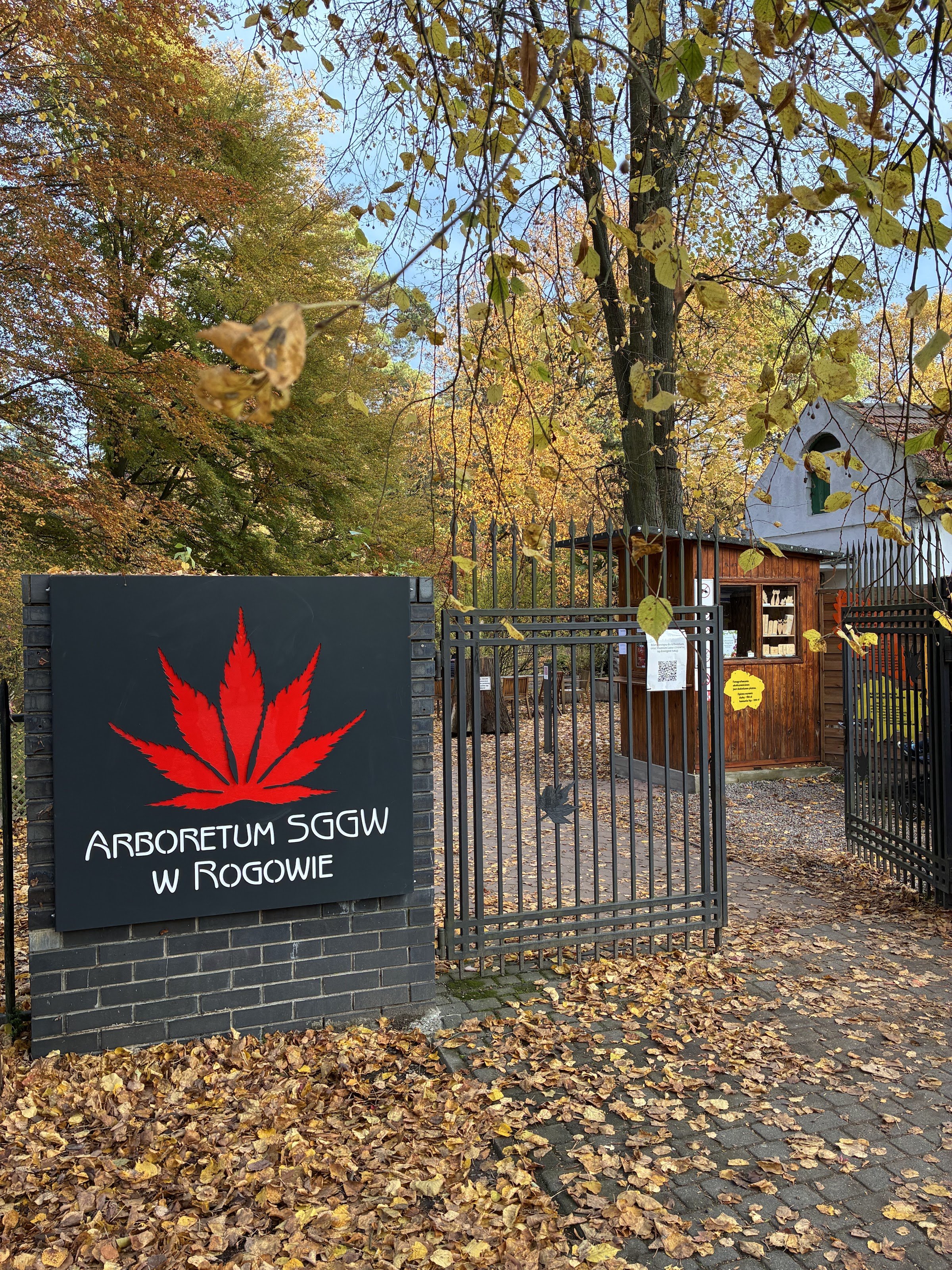 Arboretum SGGW w Rogowie